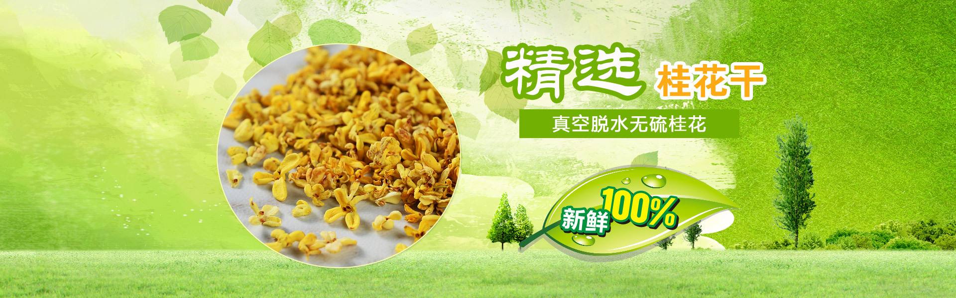 绿之源农产品